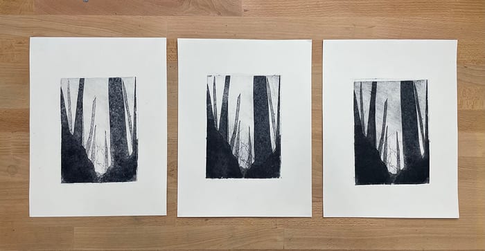 Tiger Mountain: Day — Collograph print · 2021